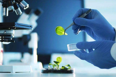 2022年大氣污染治理策略 聚焦生物化工技術研發與207億預算的優化應用