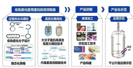 西北大學獲批3項國家重點研發(fā)計劃，聚焦生物化工產品技術研發(fā)新突破