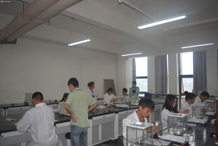 輕工化工系工業(yè)分析與檢驗技能大賽決賽圓滿落幕，展現(xiàn)生物化工產品技術研發(fā)新風采
