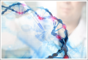 DNA-In SY5Y細胞轉染試劑現(xiàn)貨供應 美國GlobalStem品牌產品解析